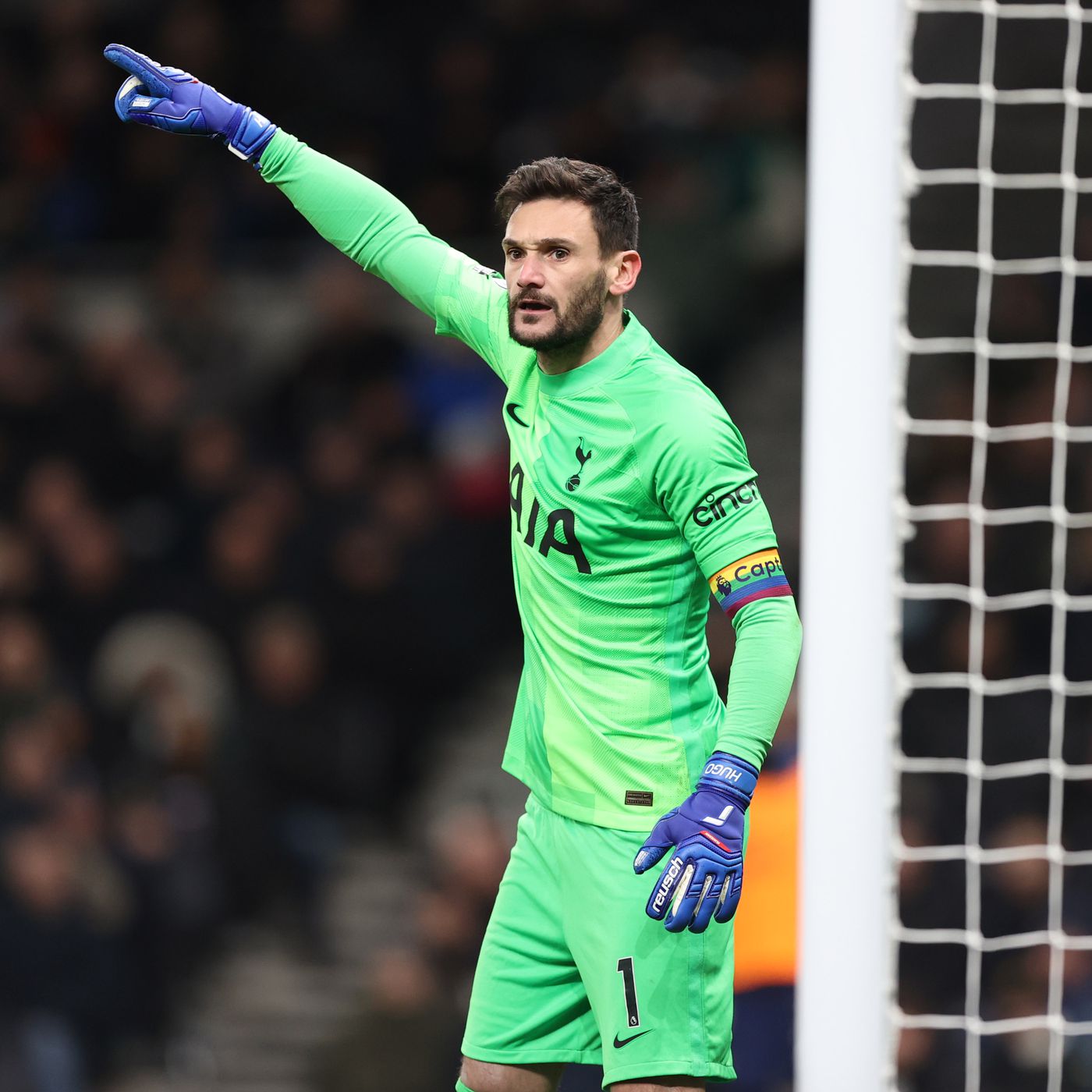 Hugo Lloris - Wikipedia